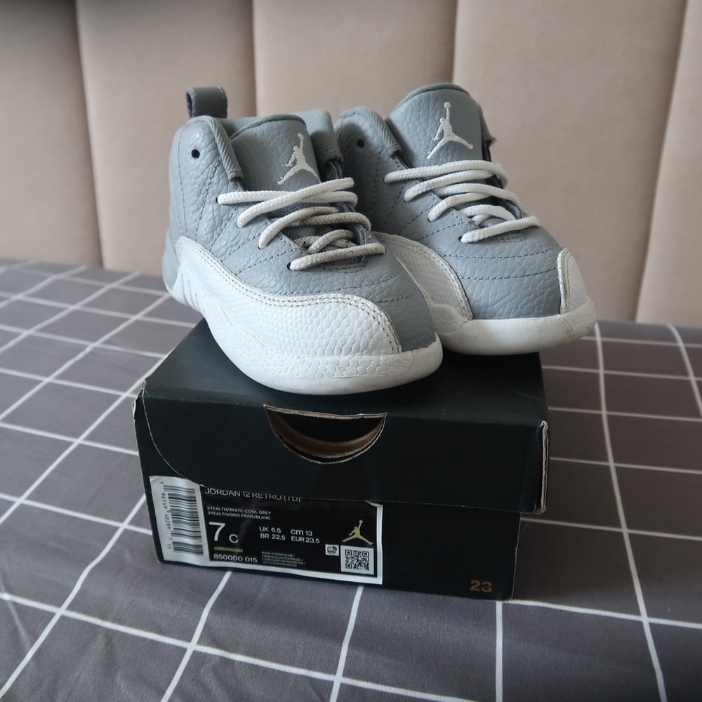 Toddler Jordan 12